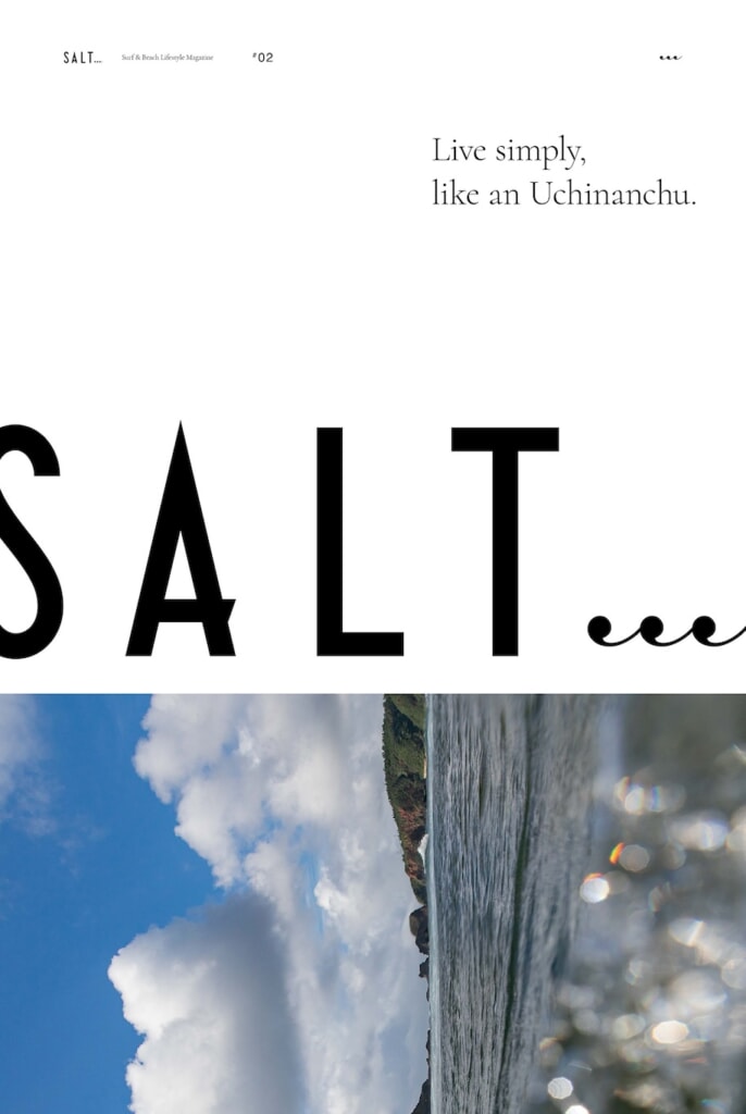 2024 年 7 月 29 日 Surf & Beach Lifestyle Magazine「SALT...#02」タブロイド発売