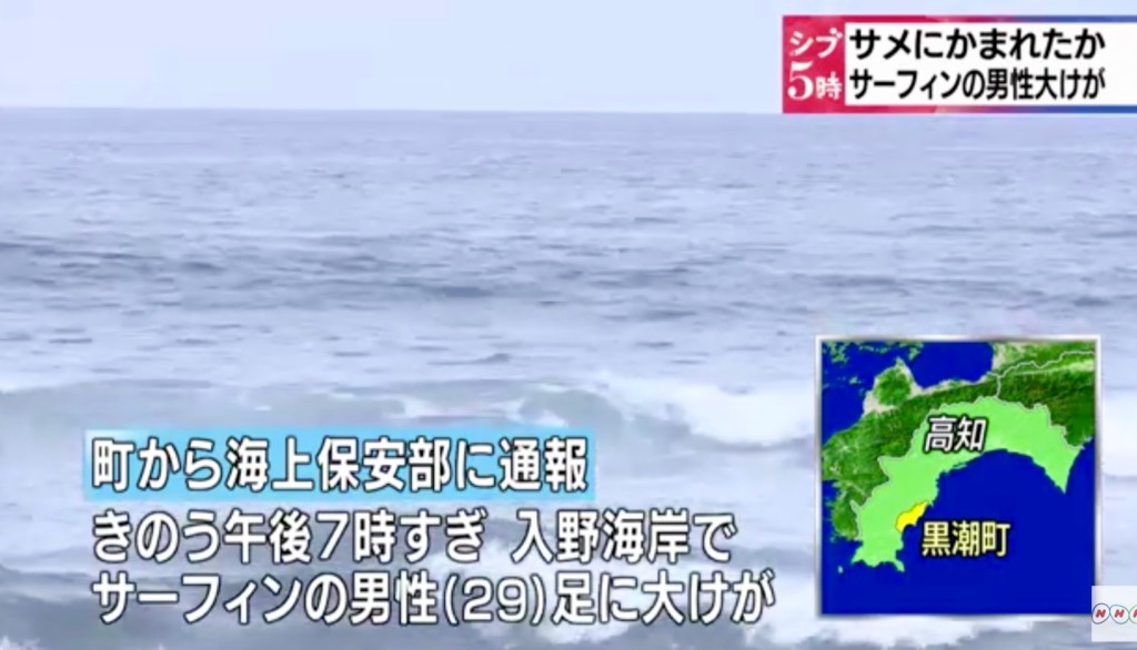 シャークアタック 高知県 黒潮町でサメにサーファーが襲われる Waval サーフィンと自然を愛する人のサーフメディア