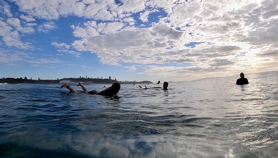 サーフィン中に目の前でローカルがクジラに襲われた前代未聞の出来事
