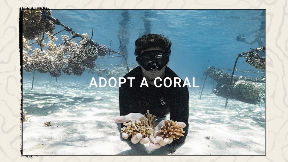 Billabongが海洋保護に取り組む国際団体CoralGardenersと提携し、新コラボレーションコレクションを発表